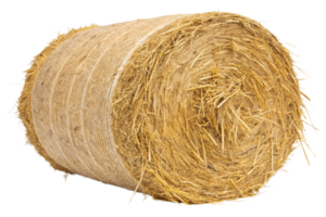 A tightly packed cylindrical hay bale wrapped with durable binding, showcasing straw's natural texture and perfect for farming or rustic decoration png