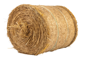 A view of a hay roll, secured with green twine, capturing its structured, layered form and rustic charm png