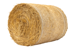 A compact, woven roll of hay secured with twine, displaying its fibrous golden texture, ready for storage or feed png