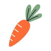 Flat illustration of an orange carrot with green leaves. A simple and cheerful vegetable design for spring and easter themes. vector