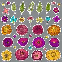 Floral hand drawn stickers. Set of different flowers and leaves. Boho theme. For printing on sticky paper and for use in your design. Colorful and bright vector