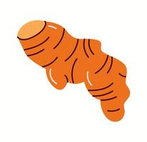 flat illustration of a ginger root with bright orange color and simple curved lines. A minimal and aesthetic representation of a healthy spice. vector