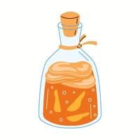 Flat illustration of a traditional kombucha brewing flask filled with fermented tea, floating ginger slices, and a cork lid. A classic probiotic drink. vector