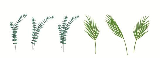 Realistic 3D illustration of multiple botanical stems, including eucalyptus and palm leaves, isolated on a white background. Perfect for decorative and design projects. vector