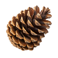 A detailed close-up of a brown pine cone with overlapping, textured scales. Its natural, earthy tones highlight the intricate beauty of its structure png