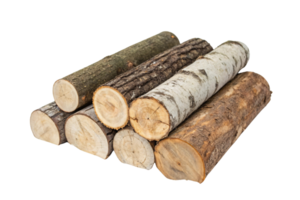 A pile of various logs featuring different bark types and colors, emphasizing diversity in forestry or firewood preparation png