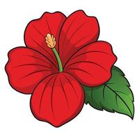 A Vibrant Red Hibiscus Flower with Lush Green Leaves vector