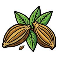 Cocoa beans with leaves illustration vector