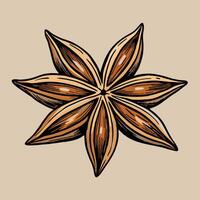 Detailed illustration of a star anise spice showing its eight points and intricate textures vector