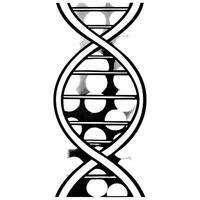 Abstract DNA strand with bokeh lights symbolizing growth and innovation in business concept as A creative depiction of a DNA strand overlaid with soft bokeh lights symbolizing grow Square Square vector