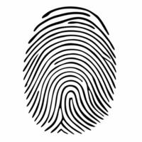 Fingerprint composed of market trend lines concept as of a fingerprint pattern formed by stock market trend lines and charts isolated on white The lines vary in thickness a Square Square vector