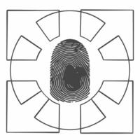 Flat Fingerprint forming electoral map concept as illustration of a fingerprint pattern morphing into a detailed electoral map Emphasizes the personal impact of each vote o Square Square vector