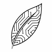 Flat Floating Leaf Merging with Circuit Board concept as A leaf seamlessly merges with a circuit board as they float together mid air against a white background The camera capture Square Square vector