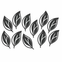 Flat Glossy Leaves with Copy Space concept as Glossy green leaves arranged on a plain white background with significant copy space to the right The camera captures a straight on s Square Square vector