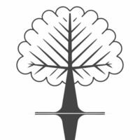 Flat Glossy white tree silhouette concept as Wide shot of a glossy white tree silhouette on a reflective surface Camera slowly pans up the tree emphasizing growth and strength Wh Square Square vector