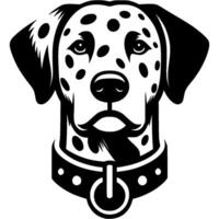 Tattoo of serious Dalmatian dog head in monochrome. Dalmatian dog portrait in collar. Engraving minimalistic image in black ink drawing on white background vector