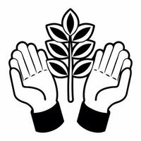Flat Plain Hands Holding Sapling with Copy Space concept as Plain hands gently holding a small sapling against a glossy white background leaving ample copy space above The camera Square Square vector
