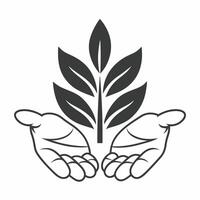 Flat Plain Hands Holding Sapling with Copy Space concept as Plain hands gently holding a small sapling against a glossy white background leaving ample copy space above The camera Square Set 2 Square vector
