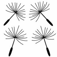 Flat Rising white dandelion seeds concept as Close up of white dandelion seeds floating upwards Camera follows a few seeds as they ascend symbolizing letting go and new beginnings Square Square vector