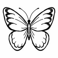 Flat Soft focus white butterfly concept as Close up of a white butterfly edges softly blurred Camera follows the butterflys gentle flight Represents transformation and hope for J Square Square vector