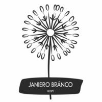 Flat White dandelion on plain background concept as Medium shot of a white dandelion against a plain background Camera slowly focuses on the delicate seeds symbolizing wishes and Square Square vector