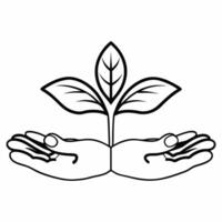 Floating Hands Holding Seedling concept as Hands hold a seedling as they float mid air against a white background The camera focuses on the seedling symbolizing growth and communi Square Square vector