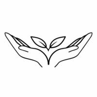 Flying Hands Holding Sapling concept as A pair of hands gently holding a small sapling appears to float mid air against a pure white background The camera captures a soft focus cl Square Square vector