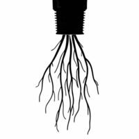 Flying Light Bulb with Roots concept as A light bulb with roots extending downward floats mid air against a white background The camera captures a close up symbolizing innovative Square Square vector