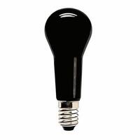 Glossy Light Bulb with Tree Inside and Copy Space concept as A glossy light bulb containing a tree stands on a plain white background leaving significant copy space to the right T Square Square vector