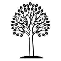 Glossy Tree Growing with Copy Space concept as A glossy tree sprouts from the ground on a plain white background leaving ample copy space above The camera captures a straight on s Square Square vector
