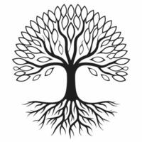 Levitating white tree concept as Medium shot of a white tree floating with roots exposed Camera slowly rotates around the tree emphasizing growth and strong foundations Isolated Square Square vector