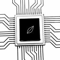 Macro of Leaf Growing from Circuit Board concept as A close up image of a green leaf sprouting from a futuristic circuit board The camera zooms in to highlight the merging point s Square Square vector