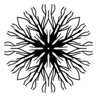 Macro of Roots Intertwining with Hands concept as A close up image of hands intertwined with roots The camera zooms in to highlight the connection symbolizing deep rooted communit Square Square vector