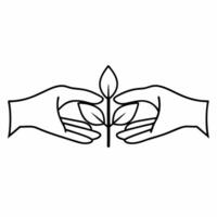 Plain Hands Holding Sapling with Copy Space concept as Plain hands gently holding a small sapling against a glossy white background leaving ample copy space above The camera captu Square Square vector