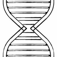 Predictive algorithm DNA helix concept as Close up of a DNA like helix representing a predictive algorithm for election outcomes Camera slowly rotates around the helix revealing d Square Square vector