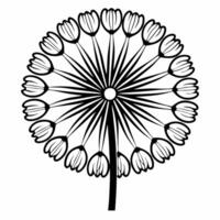 Soft focus white dandelion seeds concept as Close up of white dandelion seeds ready to float away edges softly blurred Camera follows a few seeds as they drift Symbolizes letting Square Square vector