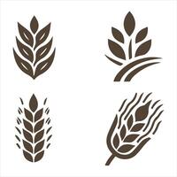 Wheat Serenity collection logo design vector