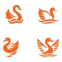 Quack Vision collection vector