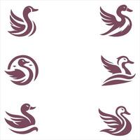 Splash Quack collection logo vector