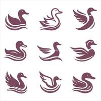 Ducky Designs collection logo design vector