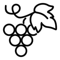 Grapes and fruit icon concept vector