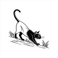 Siamese cat Stretching vector