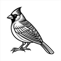 Cardinal Minimalist Outline vector