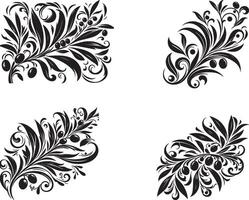 set of floral design elements vector