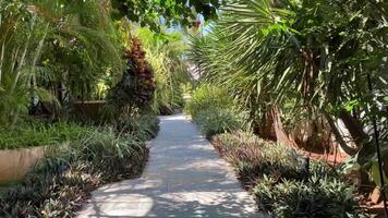 A path with a gate in the middle of it. video