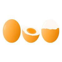 Fresh Chicken Eggs Full of Protein. Whole, Cut, and Broken Chicken Egg Elements. vector
