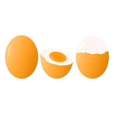 Fresh Chicken Eggs Full of Protein. Whole, Cut, and Broken Chicken Egg Elements.