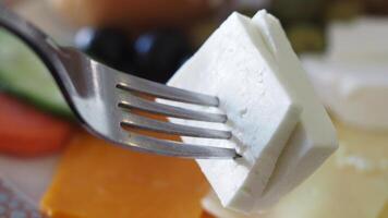 Enjoying delicious cheese on a fork at a casual gathering video