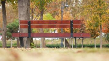 Relaxing park bench surrounded by colorful autumn trees video