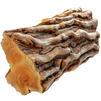 Rugged tree log with rough textured bark and visible rings showing its age png